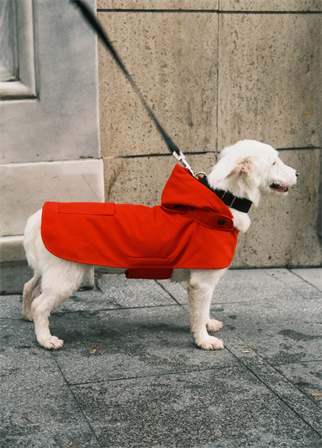 St. Pia Pluvio Raincoat Red Köpek Yağmurluk
