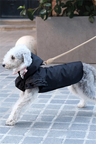 St. Pia Flutter Köpek Yağmurluğu