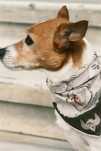 St. Pia Ruff Köpek Bandana 