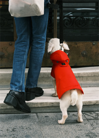 St. Pia Pluvio Raincoat Red Köpek Yağmurluk
