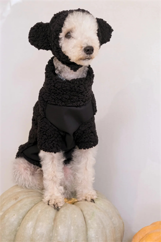 St. Pia Hiker Köpek Kazağı 