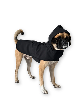 St. Pia Pluvio Raincoat Black Köpek Yağmurluk