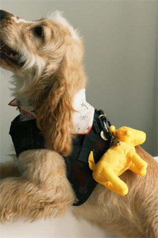 St.Pia Pompaw Katlanabilir Alışveriş Çantası