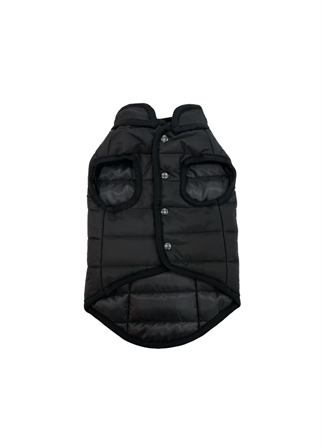 St. Pia Hive Köpek Mont