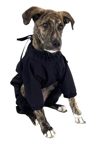 St. Pia Astro Ultimate Winter Coat Köpek Tulum Yağmurluk