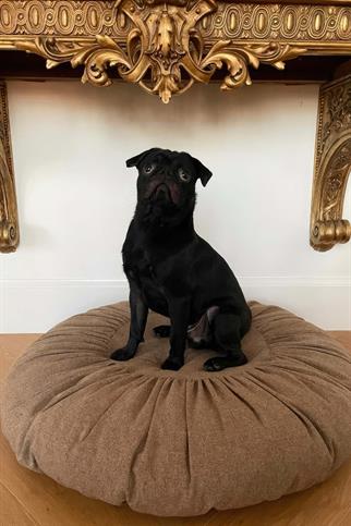 St. Pia Dog Toque Dog Bed