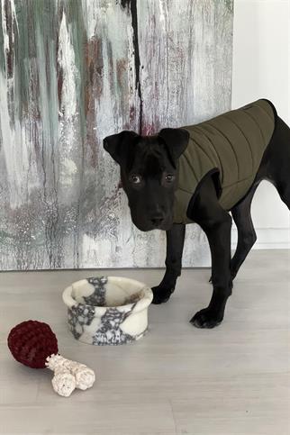 St. Pia Marbowl Spilt Ink Köpek Mermer Mama ve Su Kabı