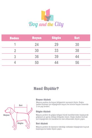 Star Ecru Köpek Kazağı