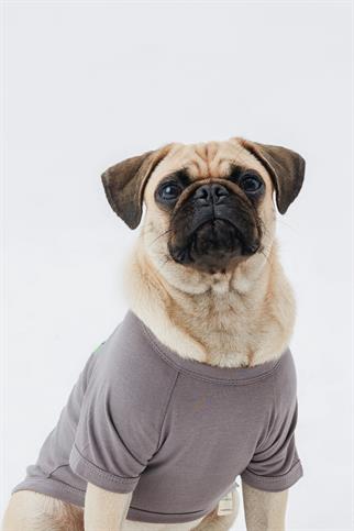 Hypet Fashion Street Tee