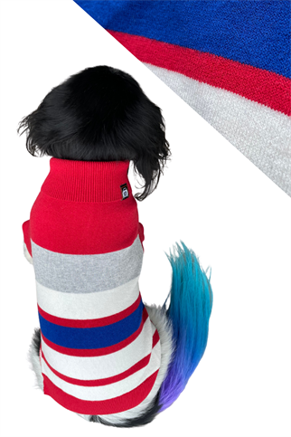 Suchkin Wonder Red Dog Knitwear Sweater