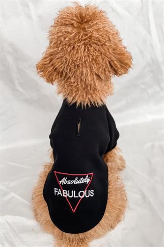 Tailless Absolutely Fabulous Köpek Sweatshirt