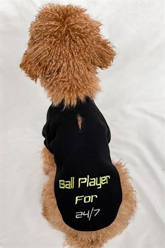 Tailless Ball Player Köpek Sweatshirt