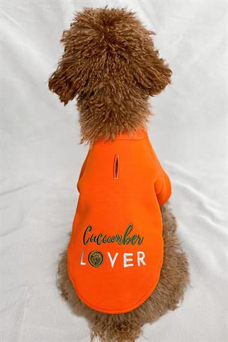 Tailless Cucumber Lover Köpek Sweatshirt