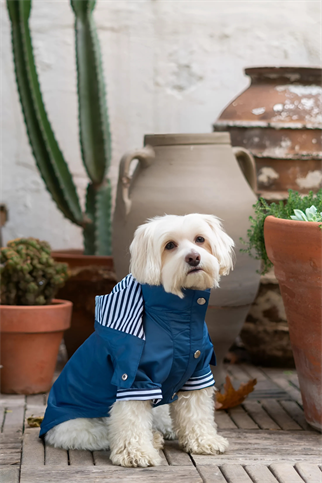 The Gang Urban Yağmurluk Navy Blue