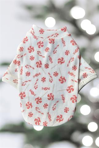 Lil.co Candy Cane Köpek Kazağı