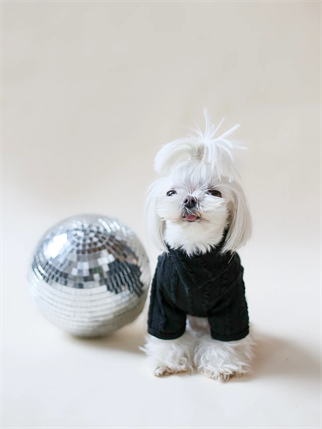 Lil.co Mireille Köpek Kazağı Black