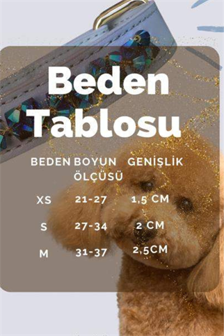 The Tailor Dogs Leopar Boyun Tasması 