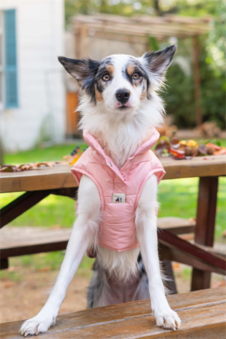 TheGang Puffer Yelek Candy Pink