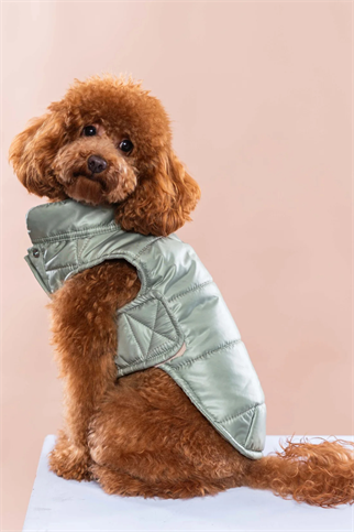 TheGang Puffer Yelek Matcha Green 