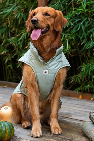 TheGang Puffer Yelek Matcha Green 