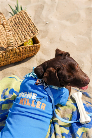 TheGang Tişört Bone Killer Denim Blue 