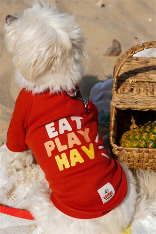 TheGang Tişört Eat Play Hav Puréed Pumpkin