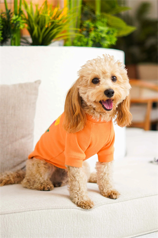 TheGang Tişört Good Vibes Only Peach Fuzz