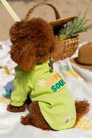 TheGang Tişört Hippie Soul Matcha Green