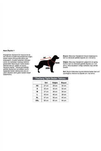 TheGang Tişört Hippie Soul Matcha Green