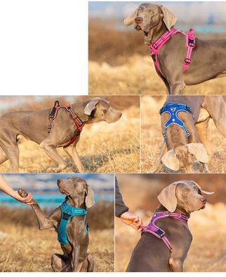 True Love Aluminum D-Halkalı, Ergonomic, Purple Breast Collar