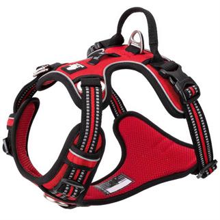 True Love Aluminum D-PeopleS, Ergonomic, Red Chest Collar
