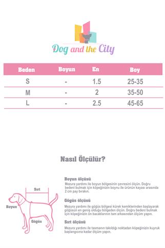 True Love Neoprene Süngerli, Naylon Dokuma,Siyah-Turuncu Boyun Tasması