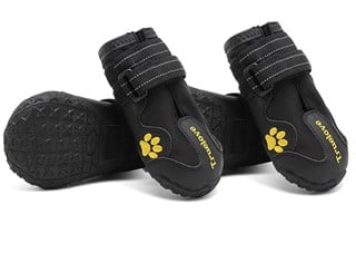 Truelove Köpek Ayakkabısı Siyah