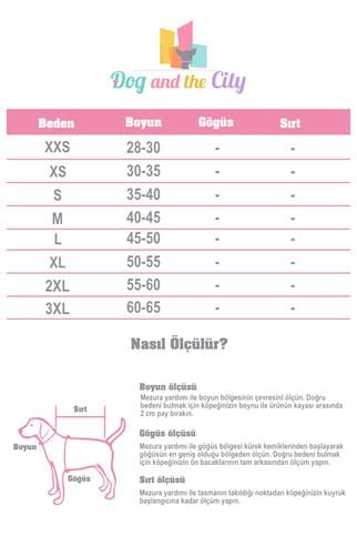 True Love Yumuşak Süngerli, Mesh Açık Mavi Boyun Tasması