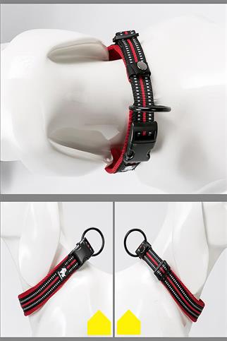 True Love Yumuşak Süngerli, Mesh, Kırmızı Boyun Tasması