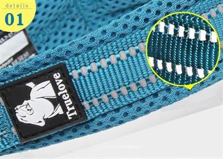 True Love Yumuşak Süngerli, Mesh, Turuncu Boyun Tasması