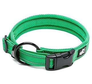 True Love Yumuşak Süngerli, Mesh, Yeşil Boyun Tasması