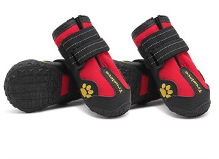 Truelove Köpek Ayakkabısı Kırmızı