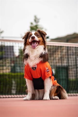 Tshirt | Askys American Football Team