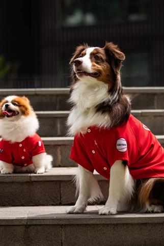 Tshirt | Askys Baseball Team