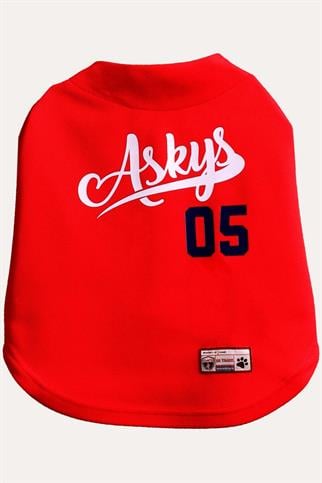Tshirt | Askys Baseball Team