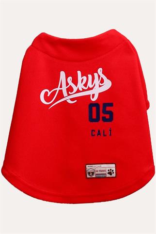 Tshirt | Askys Baseball Team