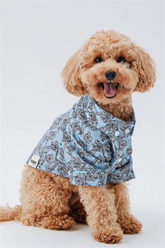 Hypet Fashion Tulip Köpek Gömleği