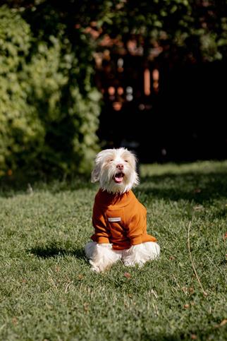 Turtleneck Tshirt | Cinnamon Glow