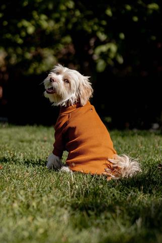 Turtleneck Tshirt | Cinnamon Glow