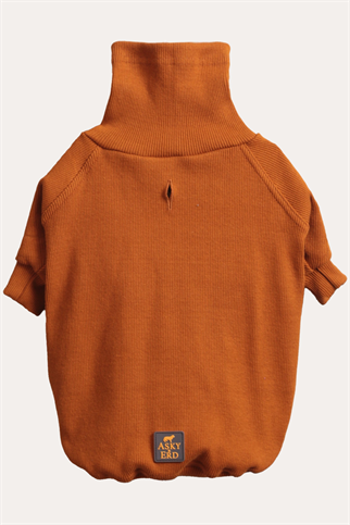 Turtleneck Tshirt | Cinnamon Glow