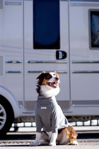 Turtleneck Tshirt | Coin