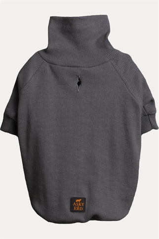 Turtleneck Tshirt | Coin
