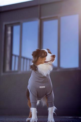 Turtleneck Tshirt | Coin