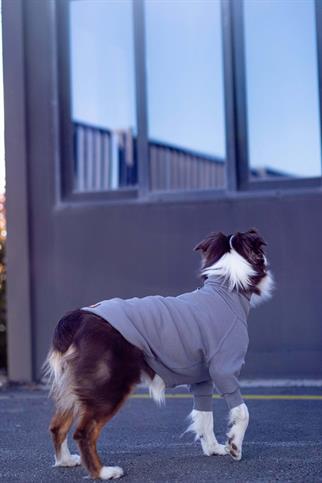 Turtleneck Tshirt | Coin